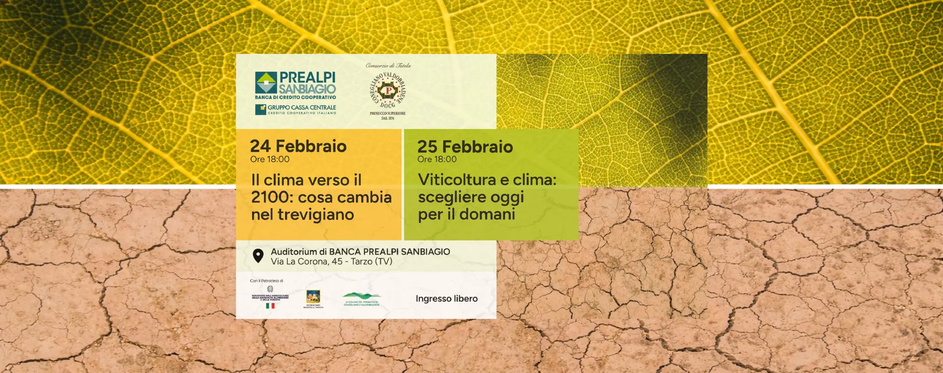 Cambiamento climatico: scenari futuri e scelte per il territorio 