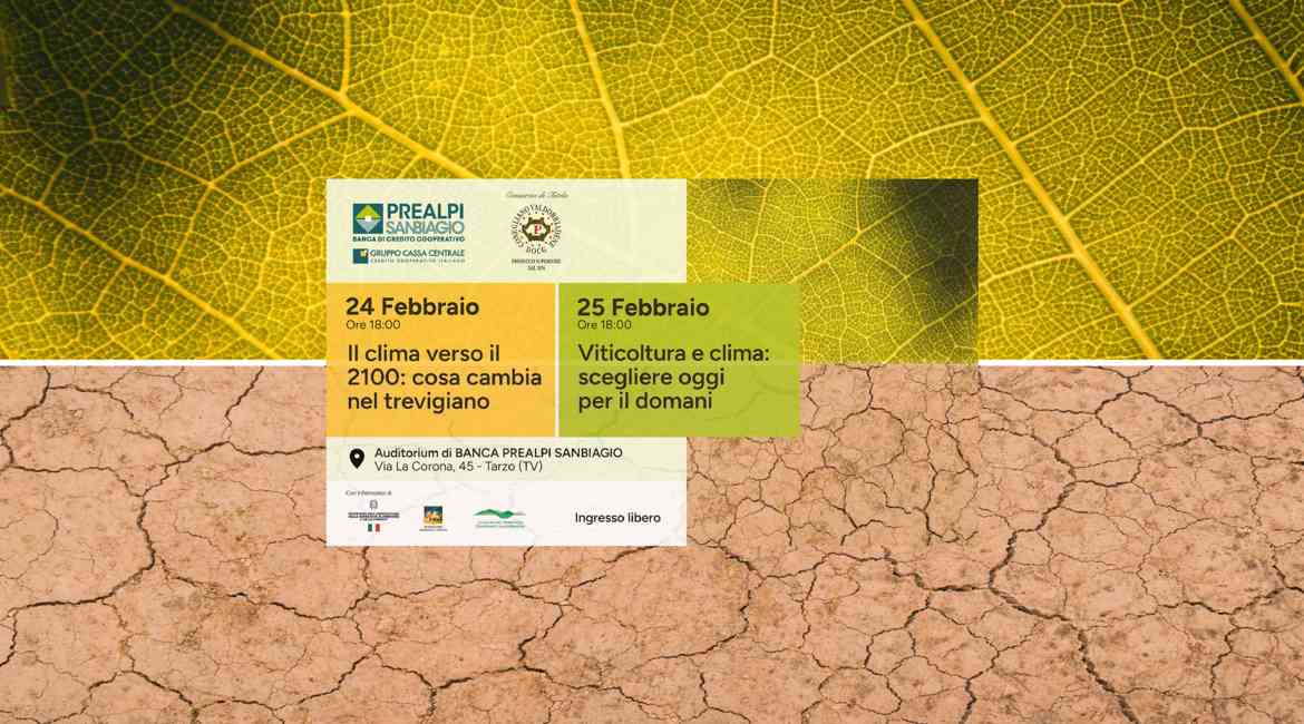 Agricoltura24 25 4000X2250 (2)