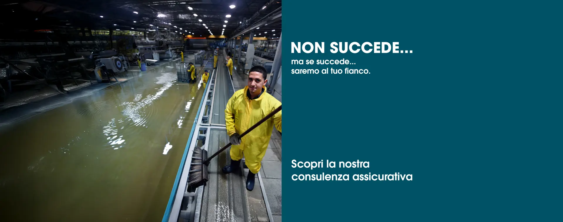 Assicurazioni 